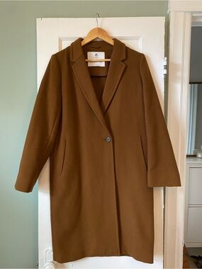 Steadman coat Aritzia
